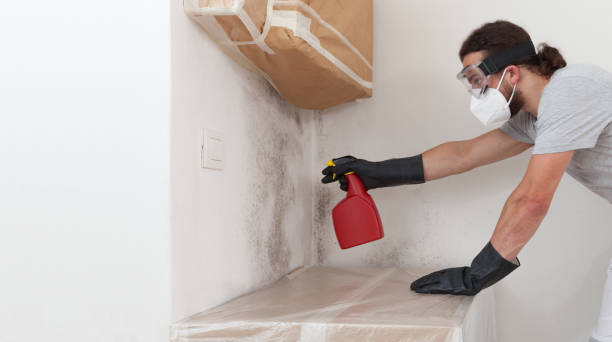 Professional Mold Remediation technician working in Clarklake, MI