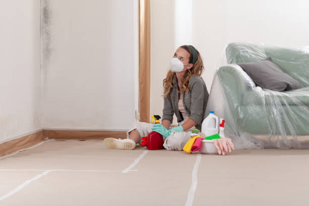 Reliable Mold Remediation contractor in Clarklake, MI by WQB Mold Removal